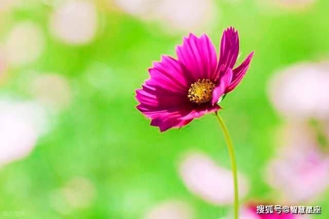 9月职场狂飙这4个星座升职加薪一路“狂飙