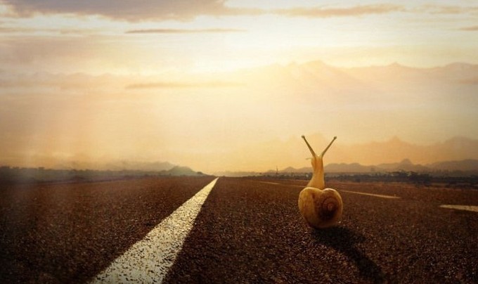 00后滑板创业者的热血故事：从爱好到品牌