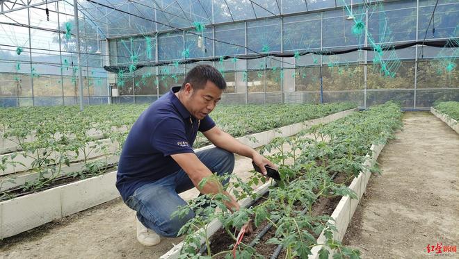 成都有需必应！他启动新一轮创业把农场从成