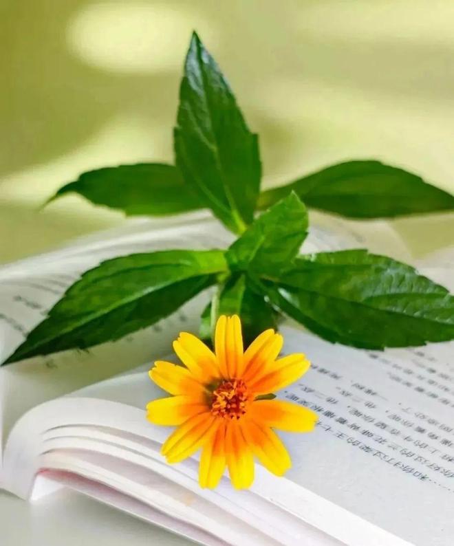 精选励志语录19句句句鼓舞人心治愈无数人